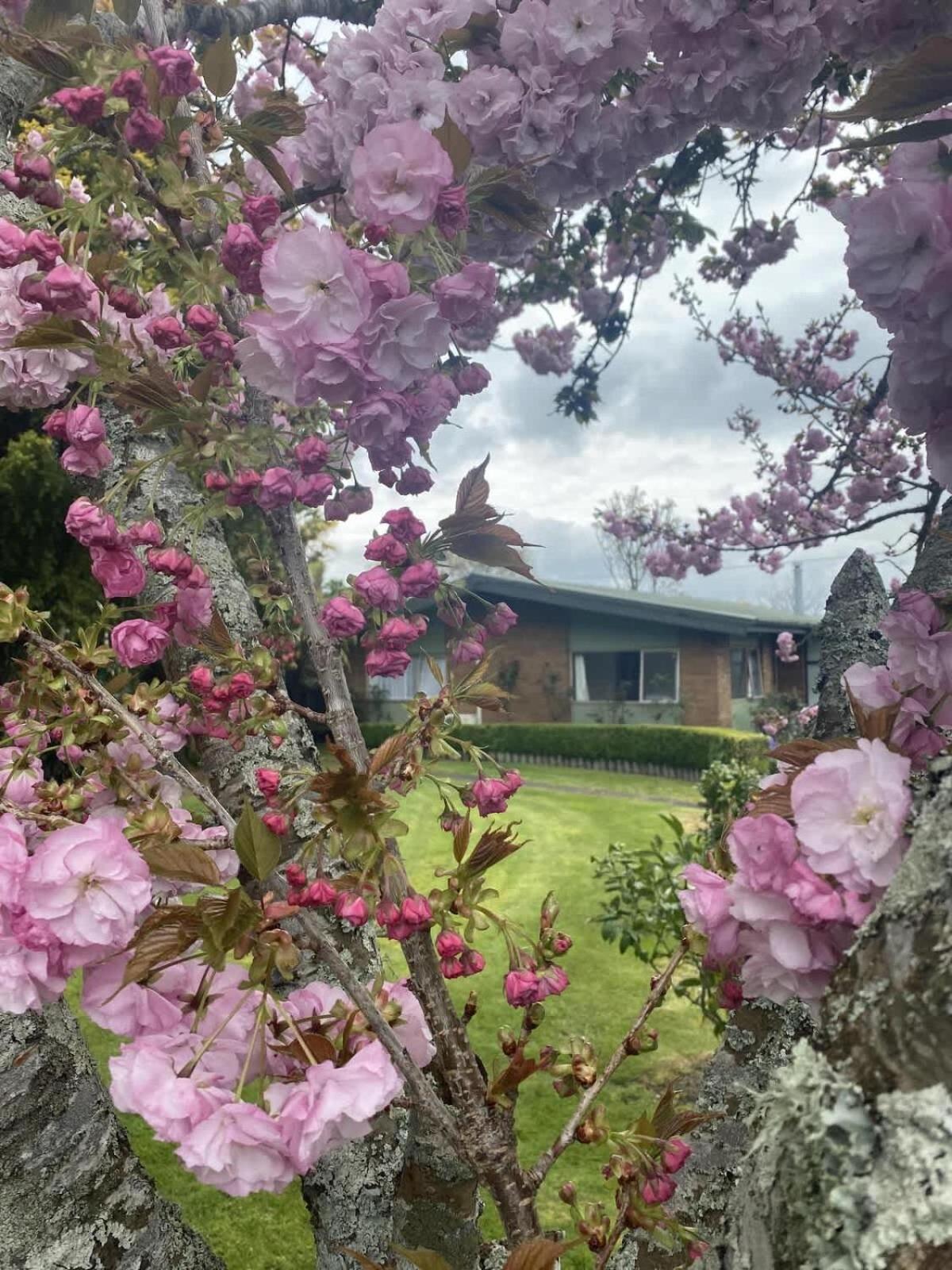 Roselake Retreat Distretto di Distretto di Rotorua Esterno foto